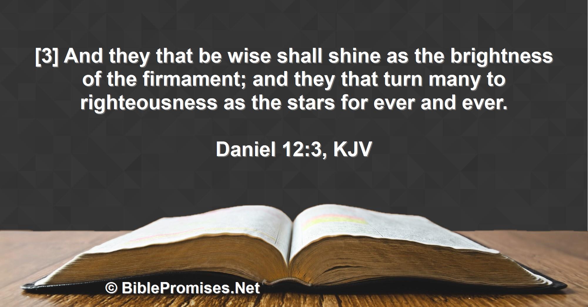 Daniel 12:3 (KJV)